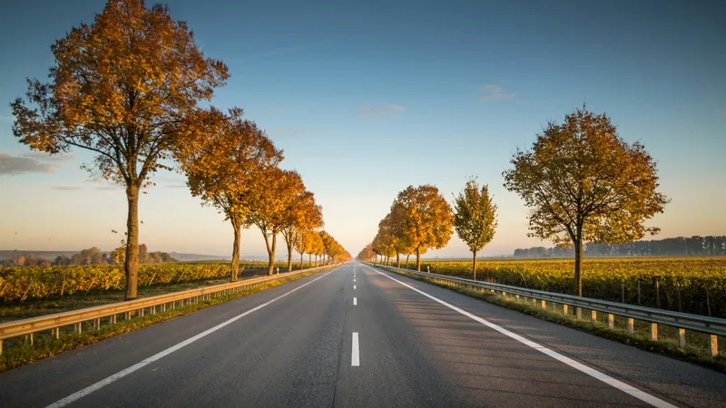 Getting Car Insurance After a DUI: A Step-by-Step Guide