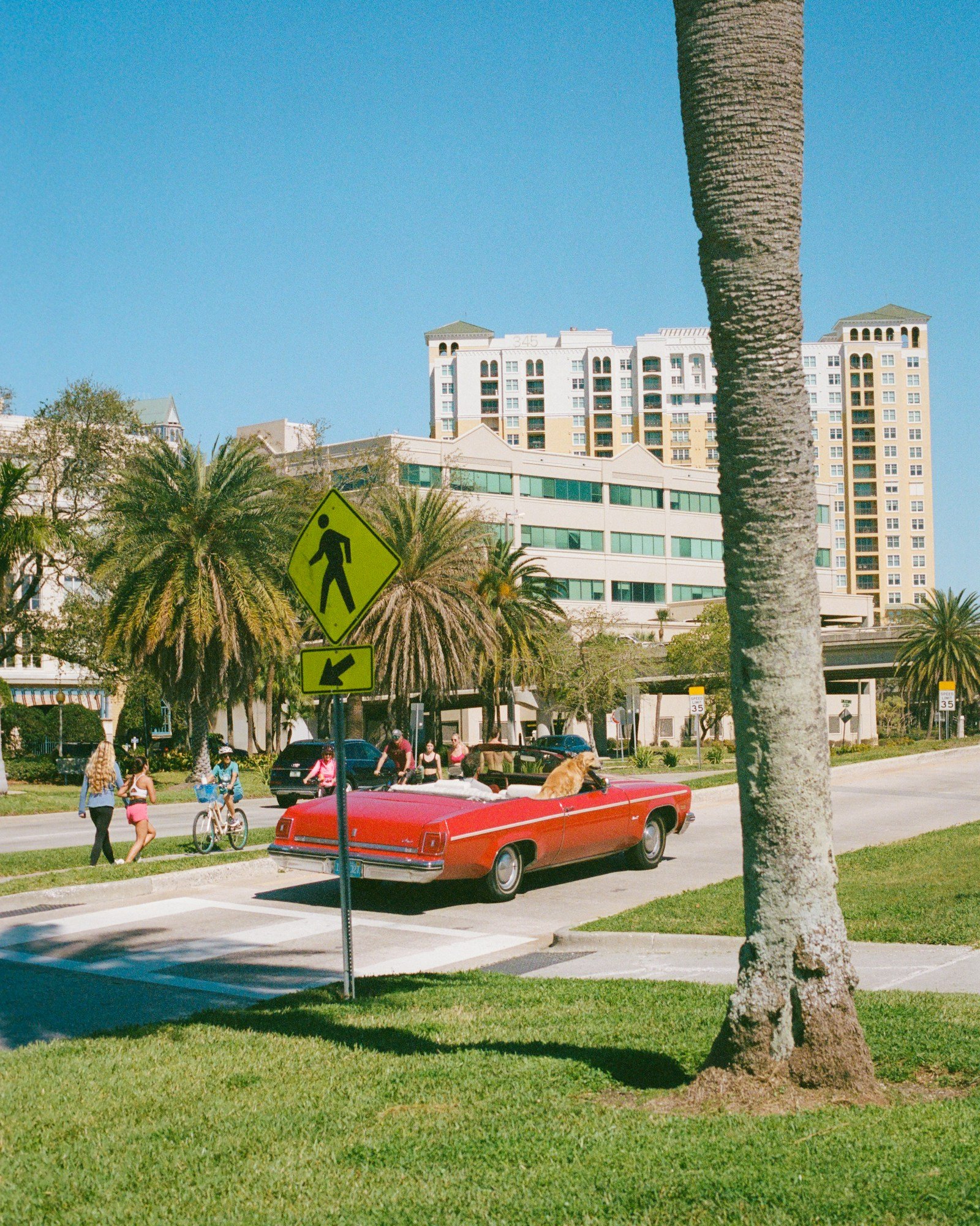 Car Insurance in Florida: Costs, Rules, and Savings